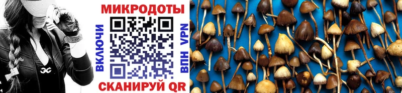 Псилоцибиновые грибы Magic Shrooms  Дзержинск 